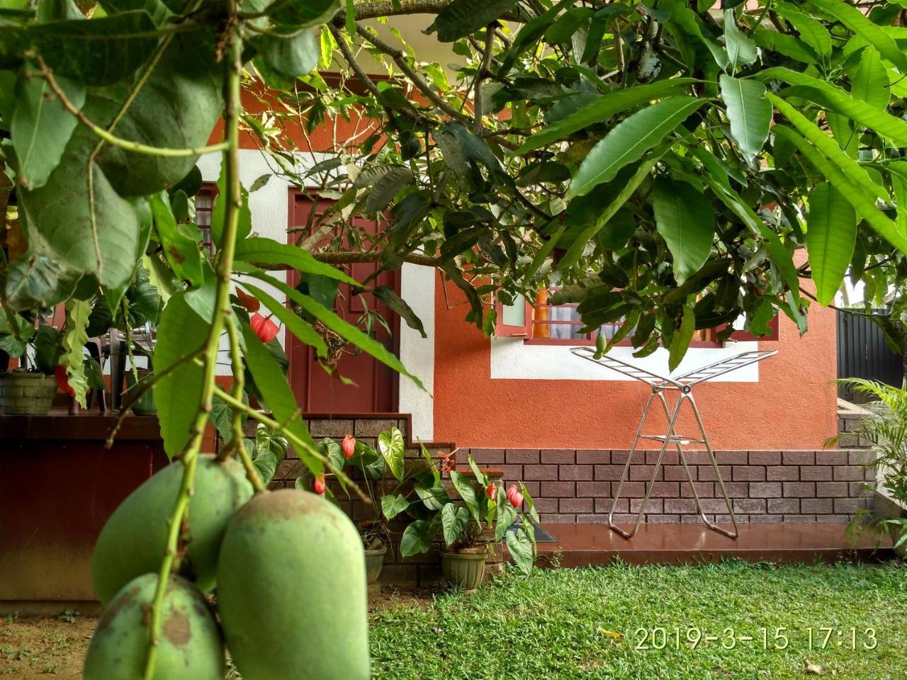 Nilas Guesthouse Hikkaduwa Zewnętrze zdjęcie