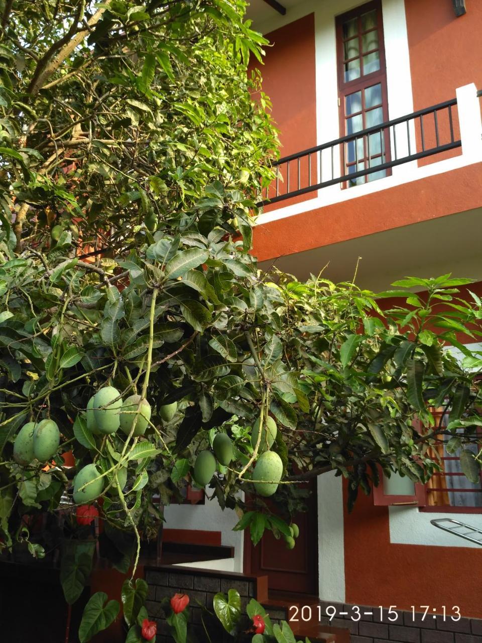 Nilas Guesthouse Hikkaduwa Zewnętrze zdjęcie